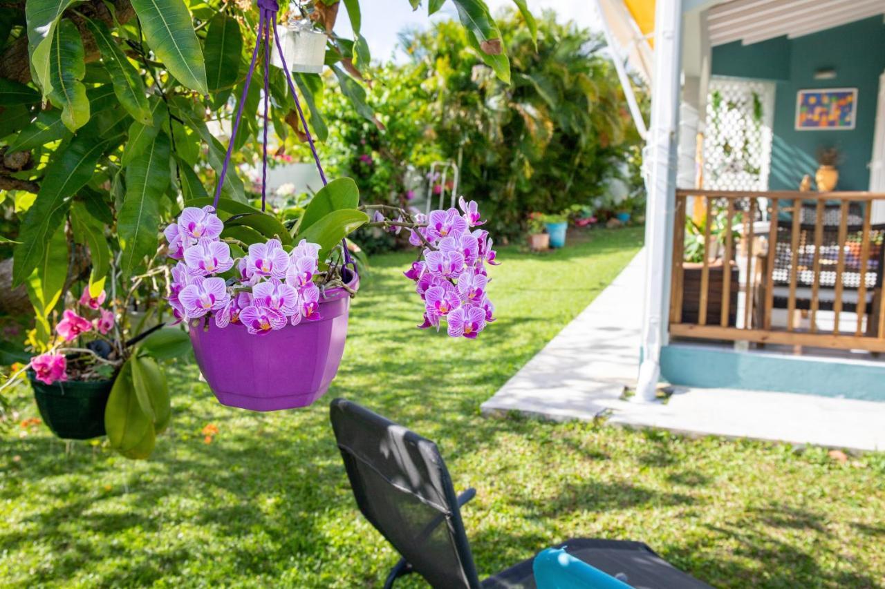 Villa L'Artist En Bord De Mer Avec Piscine Privee サント・ローズ エクステリア 写真